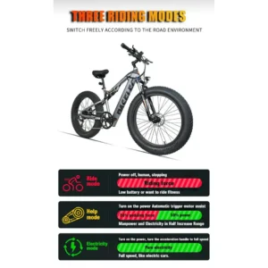 Electric bike | Pedelecs with power supply on demand